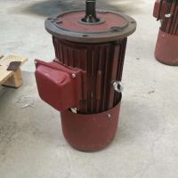 河南實心轉(zhuǎn)子軟啟動電機(jī)倍動力專業(yè)生產(chǎn)