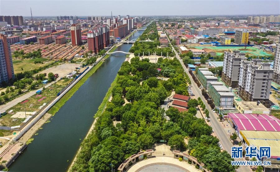 （環境）（2）河北大城：綠樹成蔭翠滿城