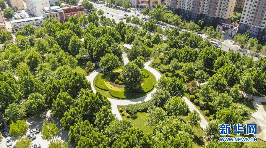 （社會）（1）河北霸州大力建設城市公園