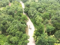 官港森林公園 大綠生態顯現