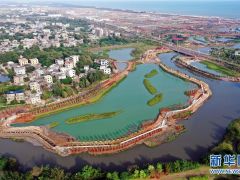 ?？诮瓥|新區生態修復