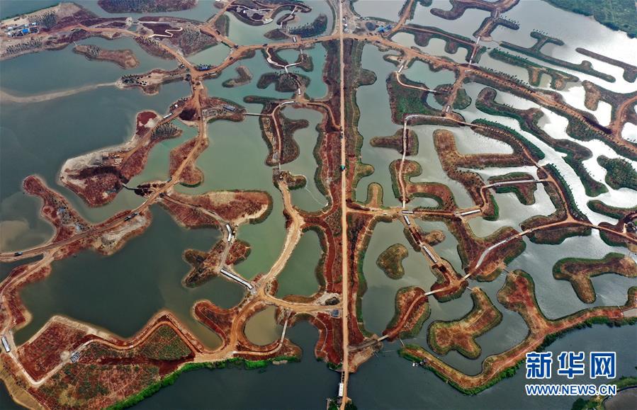 （環境）（3）?？诮瓥|新區生態修復