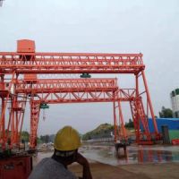 湖州花架門式起重機施工現場