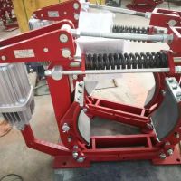 DYWZP-300/E50電動液壓鼓式制動器,焦作制動器