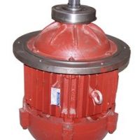 迪慶電動葫蘆起升電機